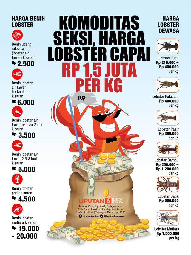INFOGRAFIS: Komoditas Seksi, Harga Lobster Capai Rp 1,5 Juta per Kg (Liputan6.com / Abdillah)