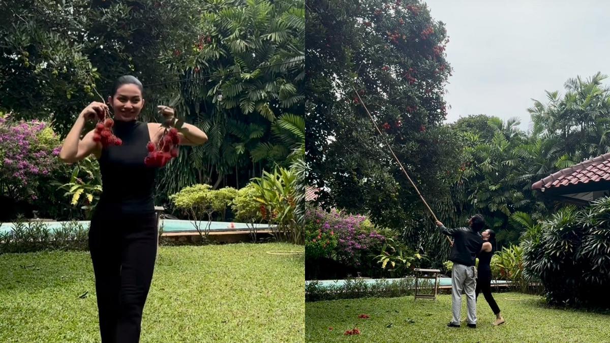 Momen Ariel Tatum Petik Rambutan Bareng Abidzar Al Ghifari, Seru!