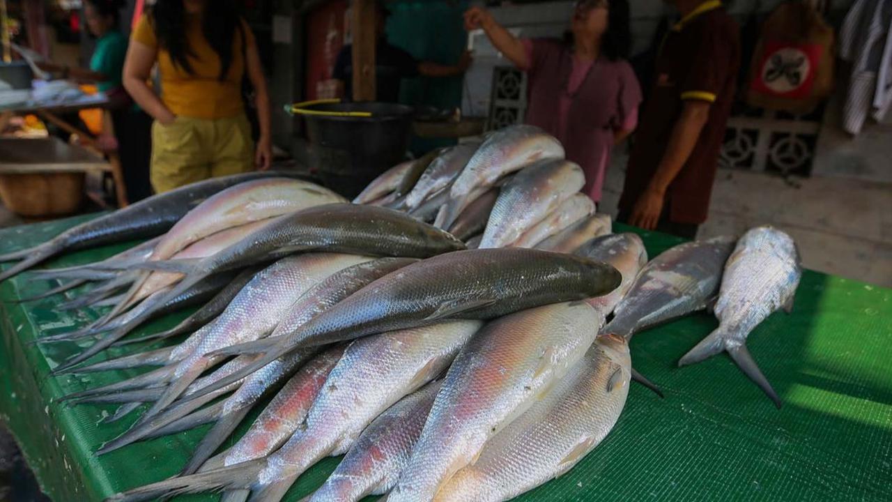 <b>Lantas,&nbsp;apa makna mengonsumsi ikan bandeng saat Imlek?</b>