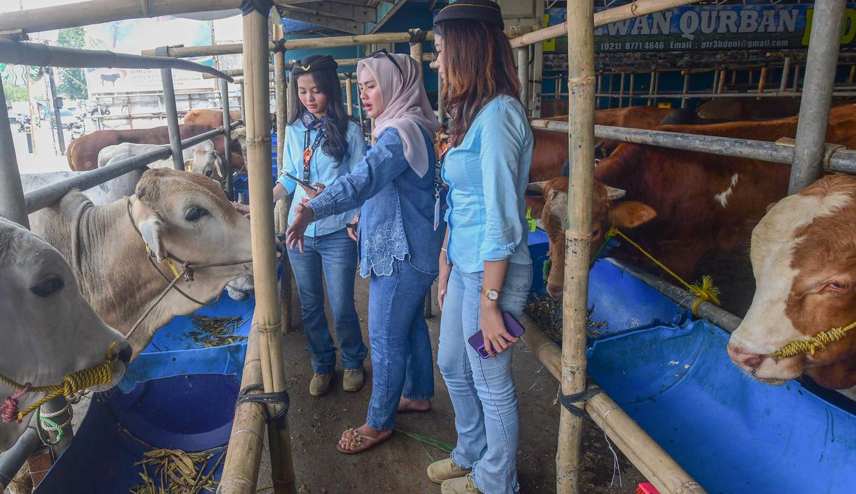 Pedagang memanfaatkan berbagai konsep promosi untuk menarik minat pembeli di tengah meningkatnya kebutuhan hewan kurban menjelang Iduladha. Tampak dalam foto, beberapa Sales Promotion Girl (SPG) dengan mengenakan kostum ala pramugari melayani calon pembeli di Mall Hewan Qurban H. Doni, Depok, Jawa Barat, Senin (11/5/2026). (merdeka.com/Arie Basuki)