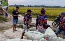 Bulog Salurkan Bantuan Pangan di OKU Raya, 162 Ribu Jiwa Terima Beras dan Minyak Goreng