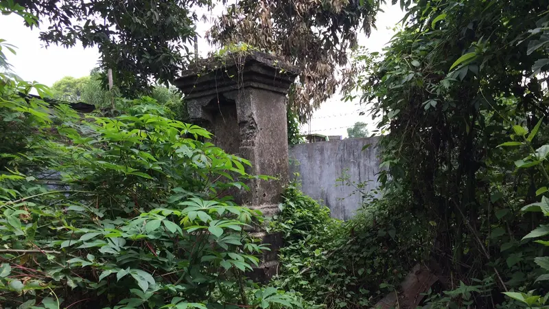 Kisah Ular Gaib Berkepala Naga di Kuburan Belanda Terbengkalai