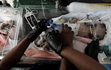 FOTO: Potret Pilu Bayi-Bayi Prematur Terdesak Serangan Israel di Jalur Gaza