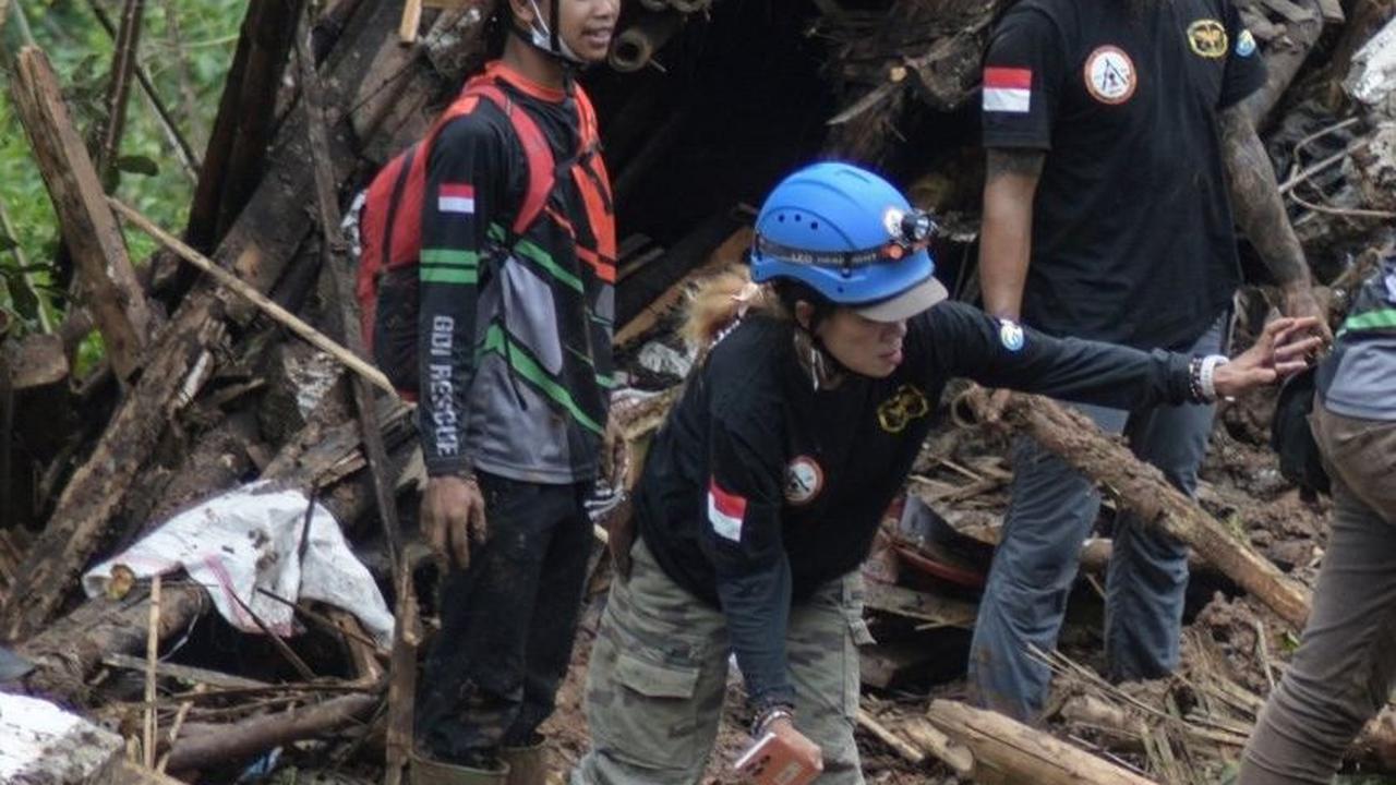 Proses pencarian korban terdapat terkendala karena sulitnya akses alat berat menuju lokasi tanah longsor. Foto: TIMUR MATAHARI / AFP<br>