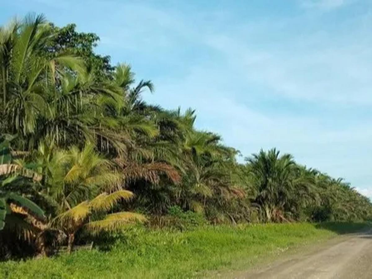 "Kita dapat melakukan hal yang sama di angkasa, seperti yang telah kita buktikan dengan sukses di daratan,"
