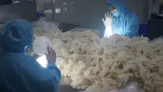 Pekerja memeriksa sarung tangan medis yang sudah disterilkan di pabrik sebuah perusahaan produk lateks di Nanjing, Provinsi Jiangsu, China, 6 Februari 2020. Perusahaan itu bekerja cepat sepanjang waktu demi meningkatkan pasokan dan membantu memerangi epidemi coronavirus baru. (Xinhua/Ji Chunpeng)
