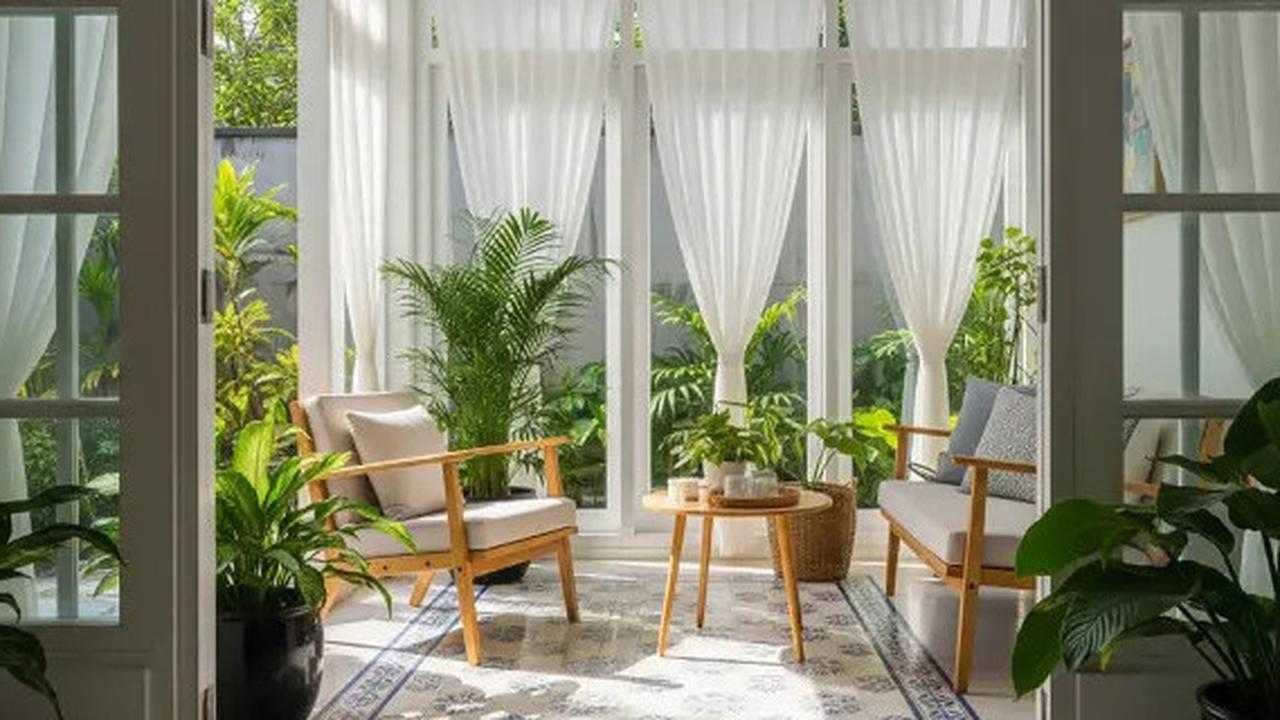 Jangan Asal Taruh, Intip 7 Trik Menata Tanaman Indoor agar Serasi dengan Dekorasi Ruang Tamu
