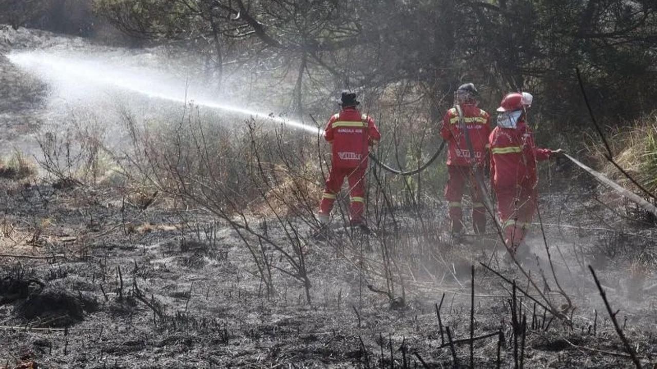 Usai Api Padam di Bromo, Kemenhut Soroti Ancaman Lanjutan