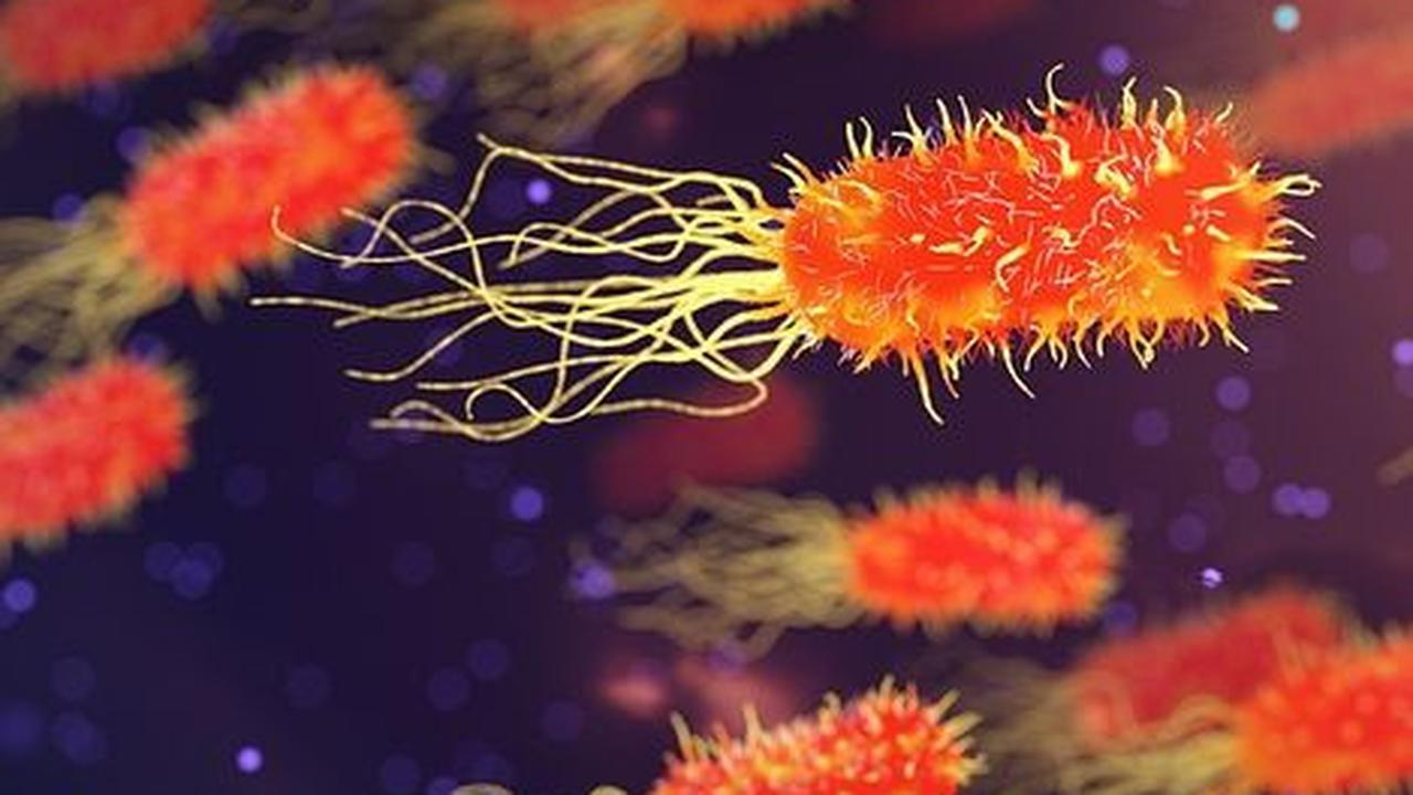 Penyebab Herpes