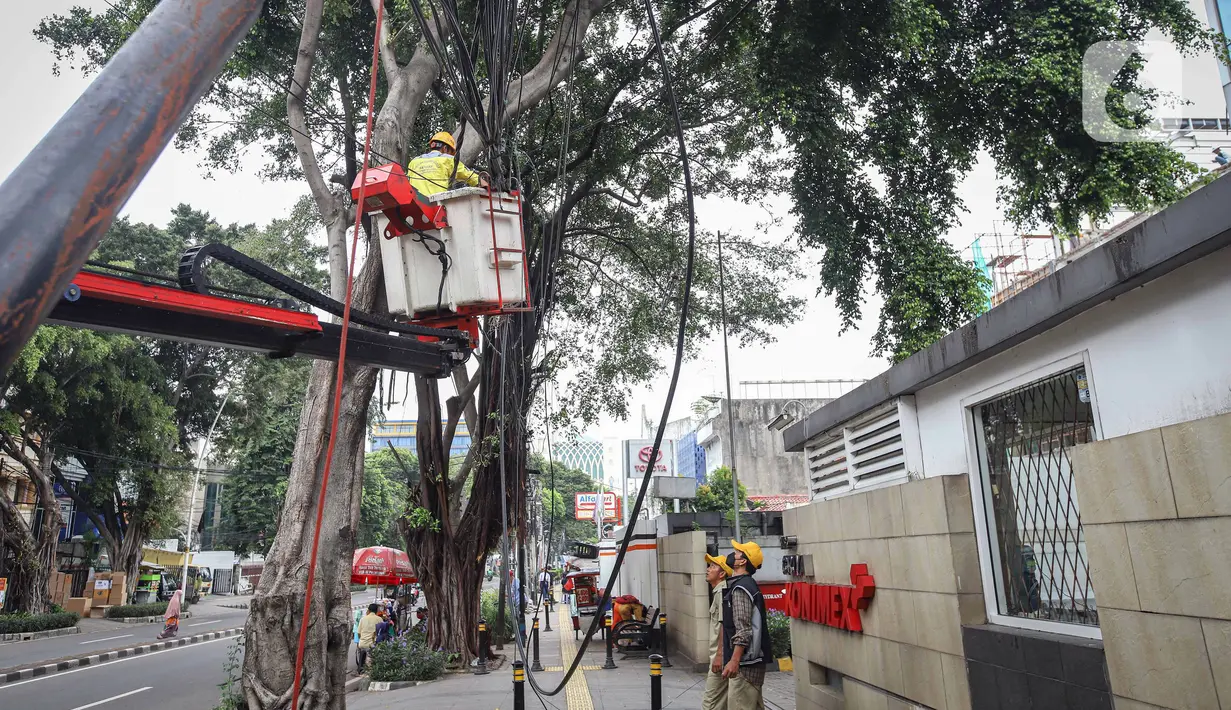 Petugas Satgas Bina Marga Jakarta Pusat melakukan penataan jaringan utilitas di kawasan Wahid Hasyim, Jakarta, Selasa (15/3/2022). Penataan kabel utilitas yang semrawut diharapkan meningkatkan kualitas pedesterian DKI Jakarta sehingga pejalan kaki merasa aman dan nyaman. (Liputan6.com/Faizal Fanani)