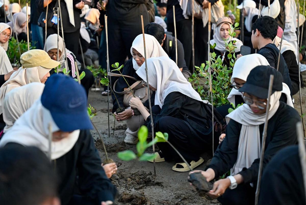 FOTO: Anak Muda Aceh Tanam Mangrove untuk Perkuat Ekosistem Pesisir