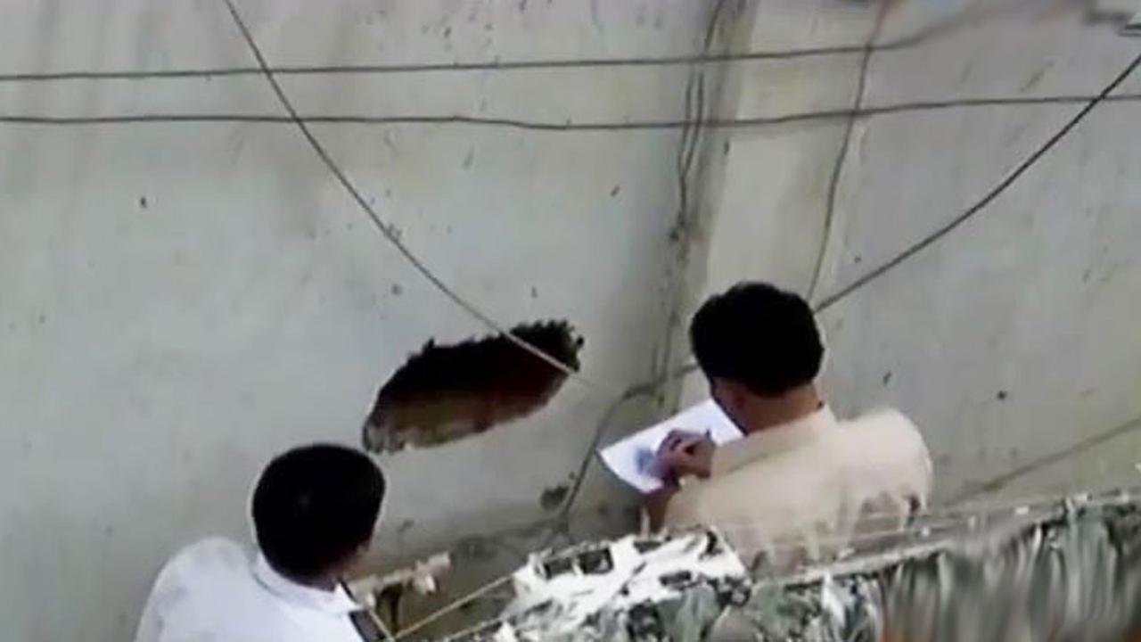 VIDEO: Bobol Tembok Kamar Mandi, 7 Tahanan Narkoba Kabur