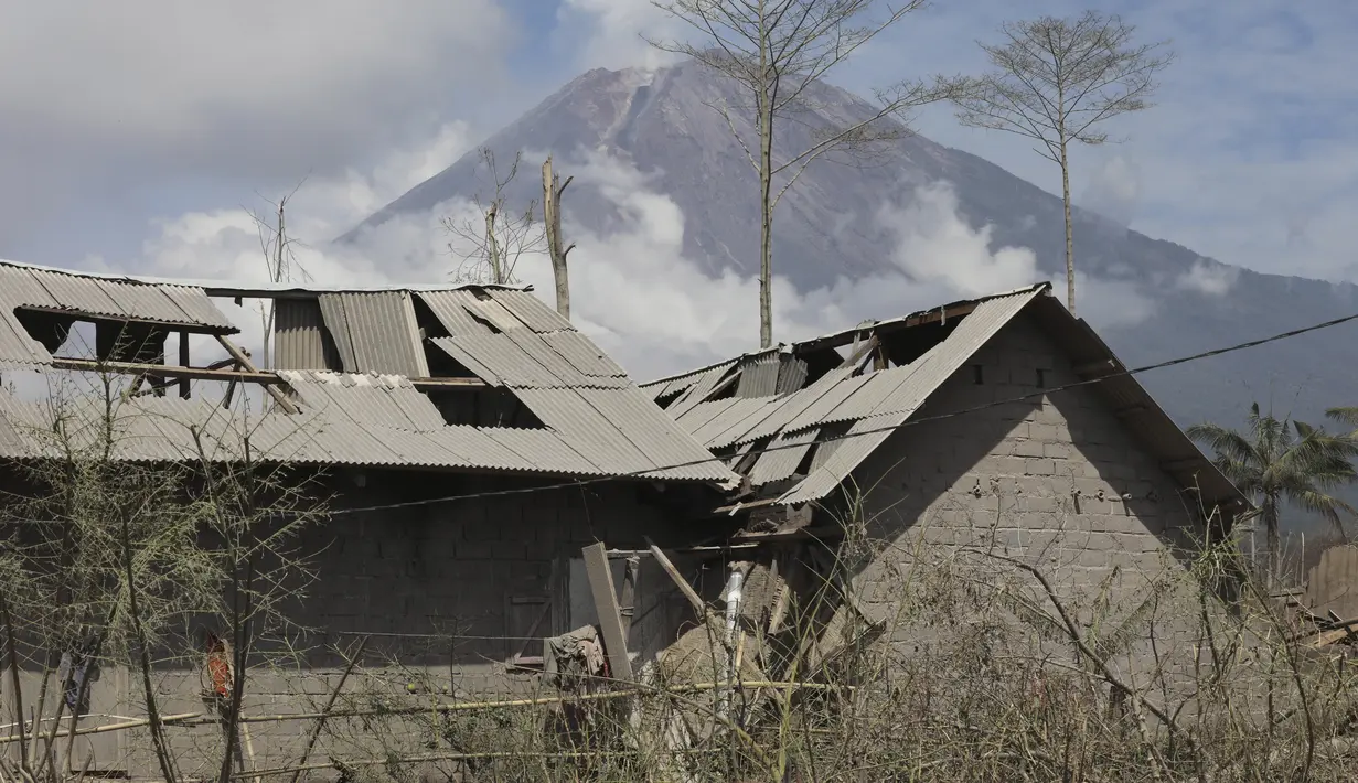 Gunung Semeru menjulang di atas rumah-rumah yang rusak akibat letusannya pada Sabtu, di Lumajang, Jawa Timur, Rabu (8/12/2021). Berdasarkan laporan BNPB, jumlah korban meninggal hingga Rabu pukul 10.30 WIB hari ini berjumlah 41 orang dan 12 orang dalam proses pencarian. (AP Photo/Trisnadi)