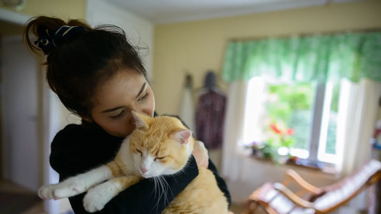 Pencinta Kucing