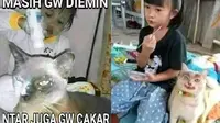 6 Tingkah Absurd Bocah Bareng Kucing Ini Bikin Tepuk Jidat (Twitter/twitkocheng)