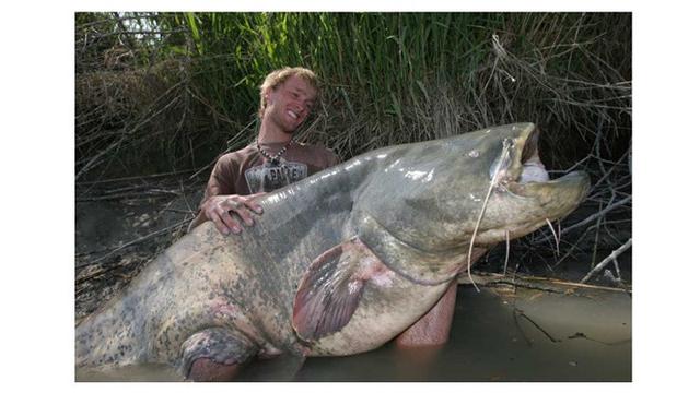 8 Hewan Terbesar Ini Pernah Ditangkap Nelayan di Berbagai Negara, Bikin Melongo