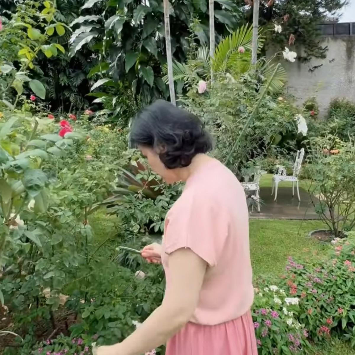 5 Potret Kebun Bunga Mawar Desiree Tarigan di Halaman Belakang Rumah, Bunga Bermekaran Warna-warni Sangat Cantik