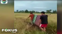 Sedangkan lima petani lainnya mengalami luka bakar di sekujur tubuh dan kini dirawat di salah satu klinik di desa Tolulu Jaya.