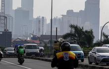 Polusi Udara Diam-Diam Menyerang Fungsi Kognitif Otak Anda, Ini Dampaknya!