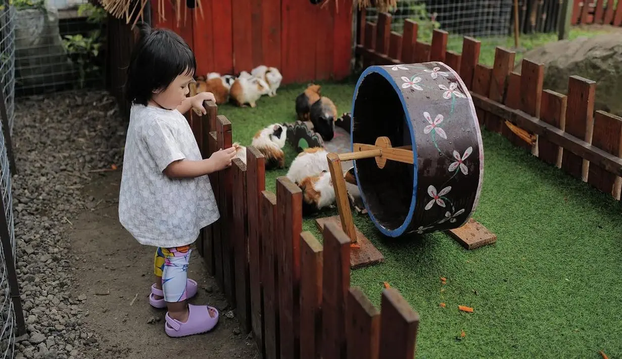 Baby Ameena yang tidak lama lagi akan menjadi kakak tampak asyik melihat-lihat kelinci lucu. [Instagram/aurelie.hermansyah]