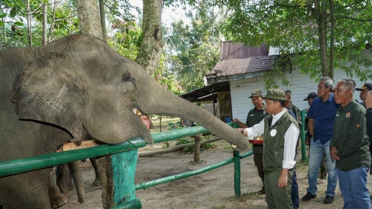Menhut: Bencana Sumatera Jadi Titik Balik Mendesak untuk Perbaikan Tata Kelola Hutan Nasional