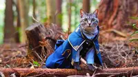 Super Gemas, Pria Ini Buat Kostum Ala Anime untuk Kucing Peliharaannya