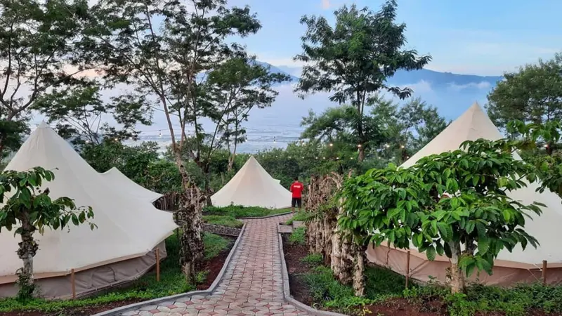 Seruput Kopi Seraya Nikmati Panorama Rawa Pening dan 7 Gunung dari Tengah Kebun