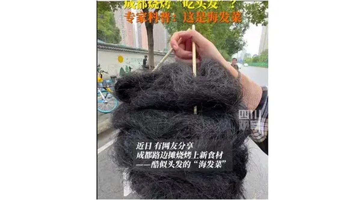 Viral Street Food China Mirip Segumpal Rambut Hitam, Laris Buat Camilan