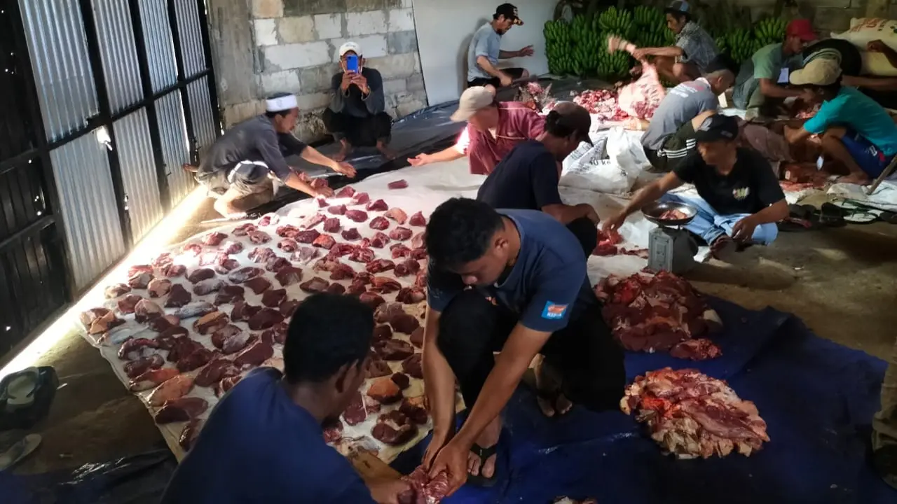Idul Adha 1443 H, MIND ID Salurkan Lebih dari 800 Hewan Kurban
