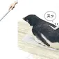 Pinguin Ini Bisa Bantu Pekerjaan Rumah Anda (sumber Lostateminor.com)