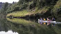 Sungai Whanganui (newzealand.com)