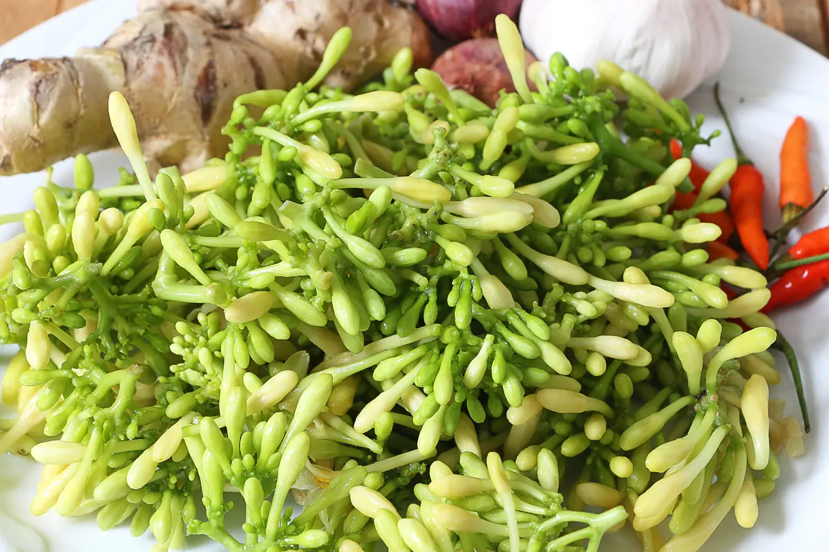 bunga pepaya