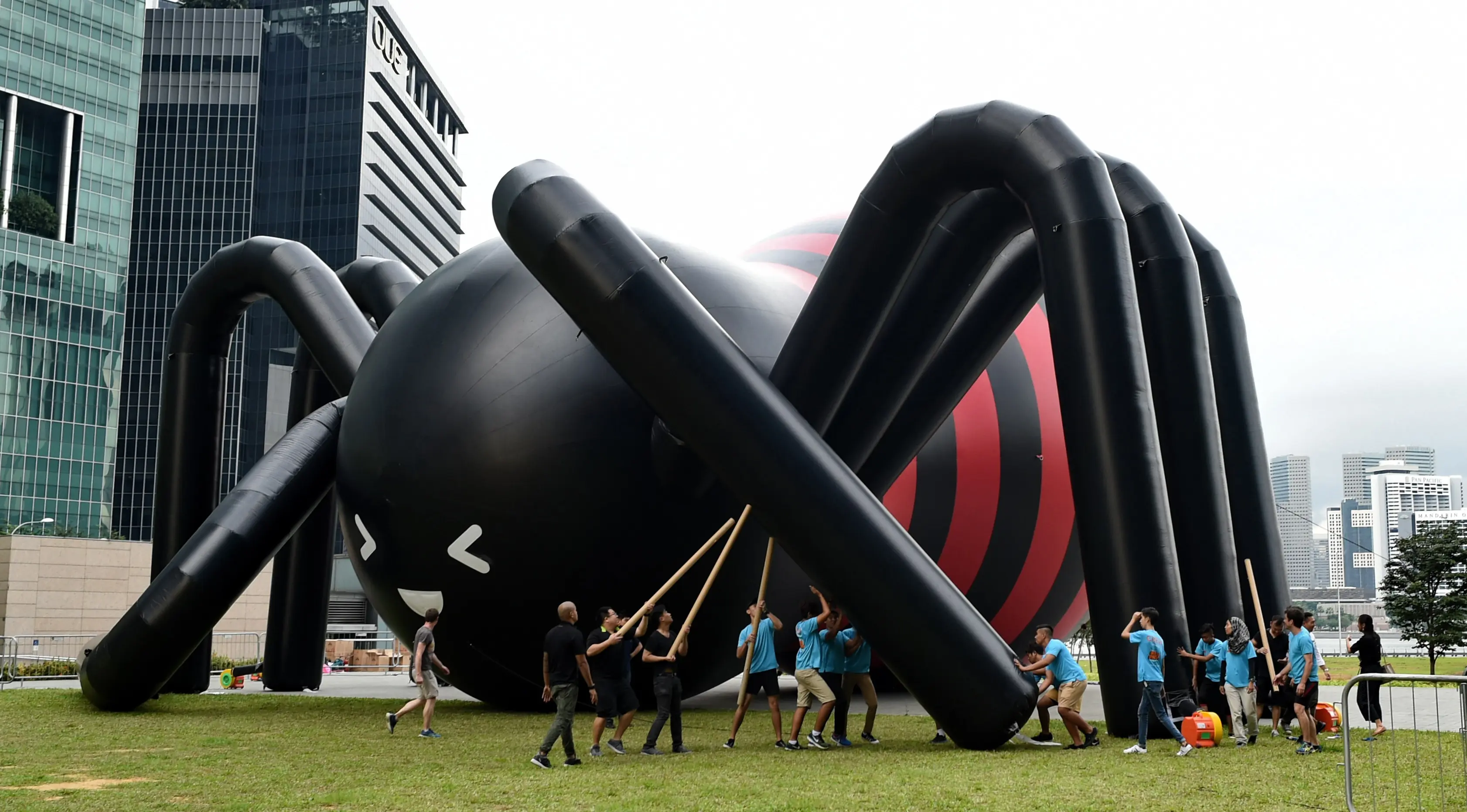 Pekerja sedang mendirikan balon laba-laba raksasa di kawasan Marina Bay, Singapura, Senin (6/2). Balon laba-laba raksasa tersebut dibuat oleh seniman Singapura Jackson Tan. (AFP PHOTO / ROSLAN RAHMAN)