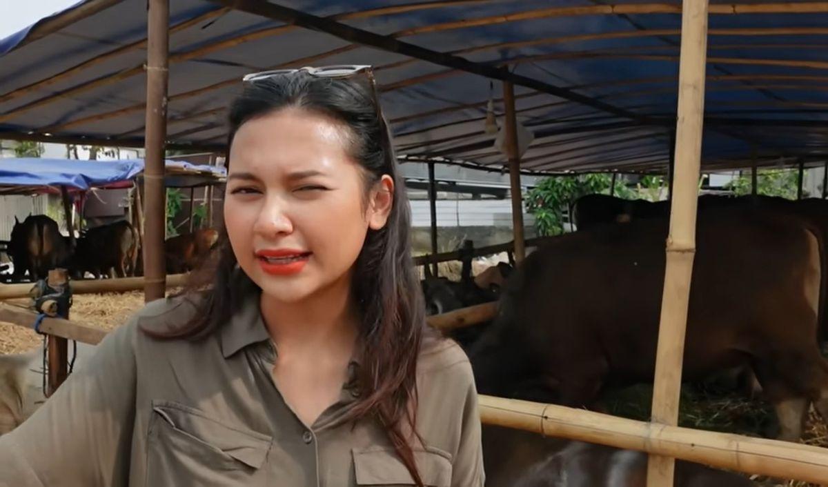 Indah Permatasari mengungkapkan pada Idul Adha tahun ini, dirinya membawa lima sapi dari Bima. Namun ternyata sapinya mati satu.<br>