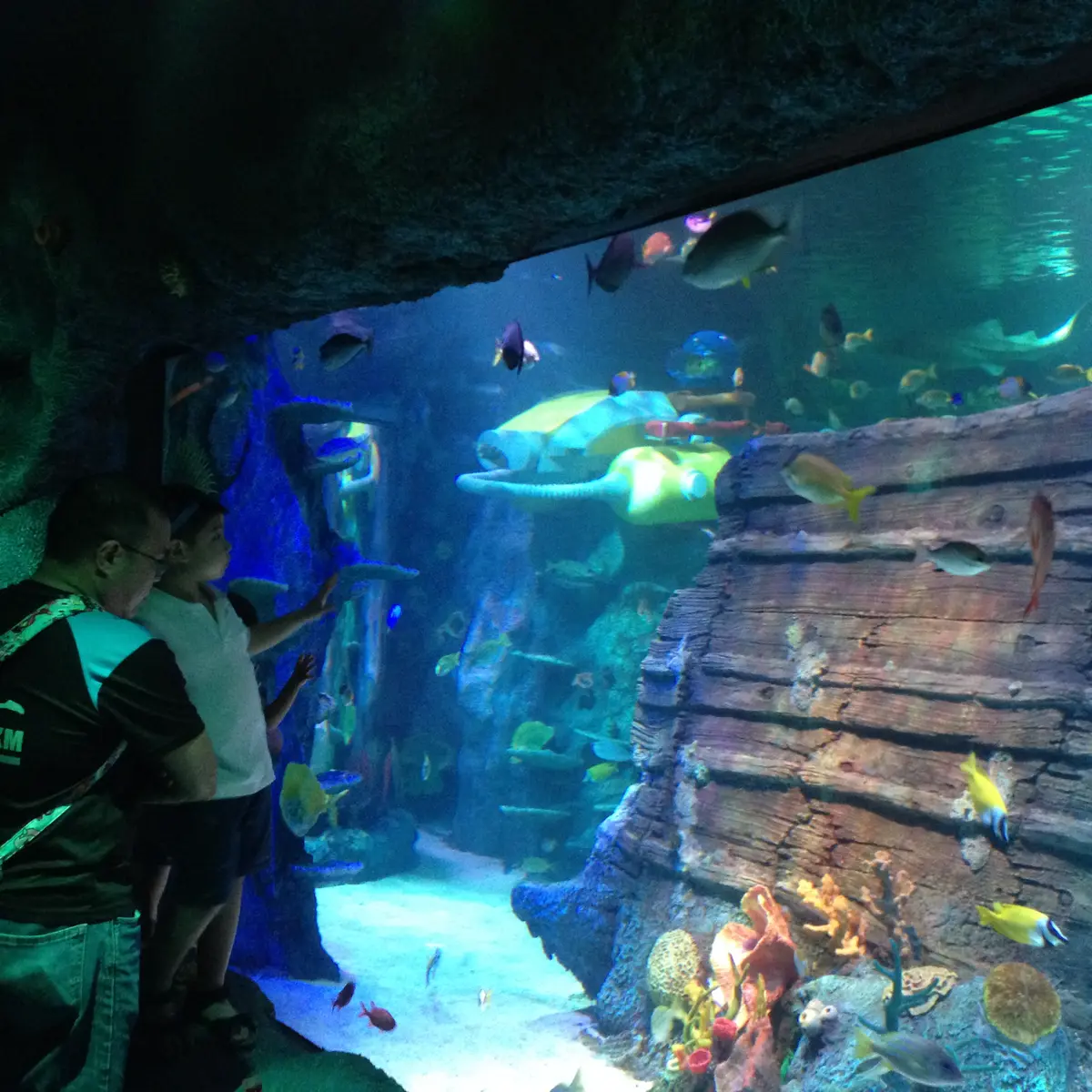 Harga tiket discount sea life legoland