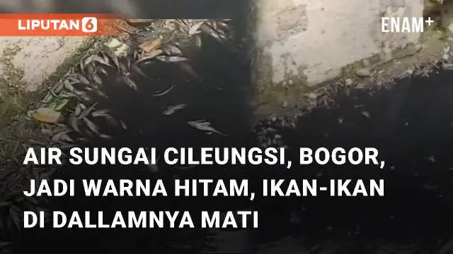 Viral video terkait menghitamnya warna aliran sungai Cileungsi di Bogor, Jawa Barat. Diketahui, hitamnya aliran sungai terjadi sejak Minggu (10/09/2023)