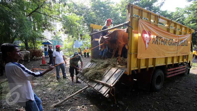 20160912 Ratusan Hewan Qurban Didistribusikan ke 263 Titik di Indonesia