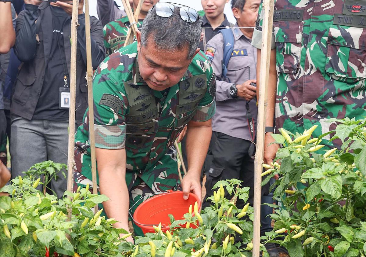 FOTO: Kasad Jenderal Maruli Panen Raya di Gunung Hejo, Dorong Ketahanan Pangan Lewat Agroforestry