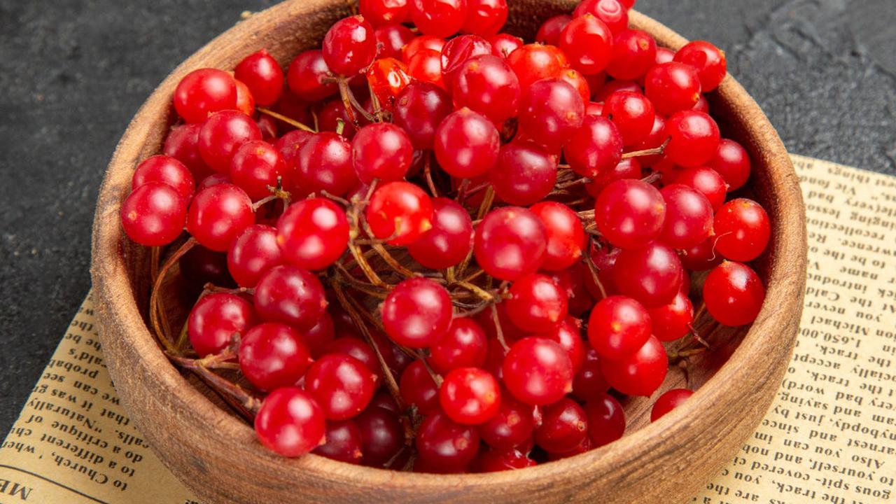 Ilustrasi Schisandra Chinensis (©Freepik)