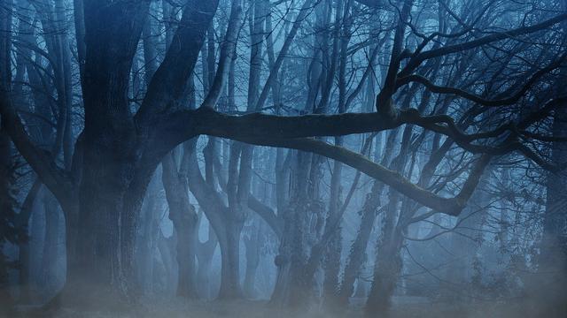 6 Arti Mimpi Tersesat di Hutan, Pertanda Ada Masalah?