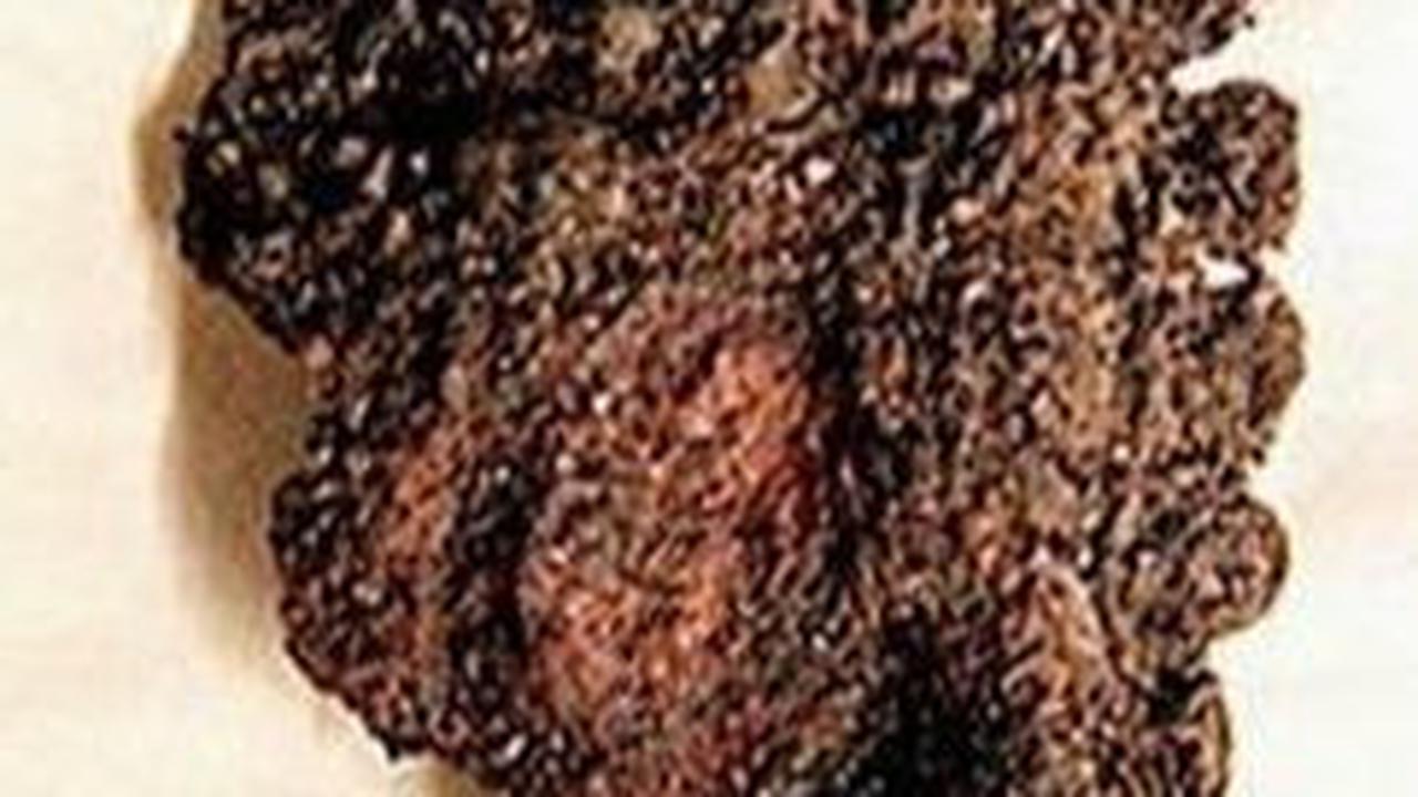 Penemuan Kepala Naga di Danau Bikin Arkeolog Berdebar, Ada Kaitannya dengan Bangsa Viking