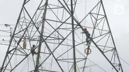 Pekerja menyelesaikan pekerjaan jaringan SUTET di Tangerang, Banten, Senin (2/1/2021). PT PLN (Persero) memiliki pasukan khusus yang terlatih melakukan pemeliharaan, perbaikan, dan penggantian perangkat isolator, konduktor maupun komponen lainnya pada jaringan listrik. (Liputan6.com/Angga Yuniar)