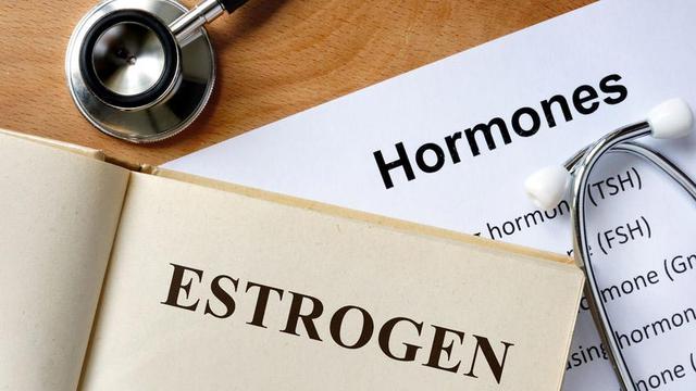 Estrogen tinggi hormon Bagaimana Cara