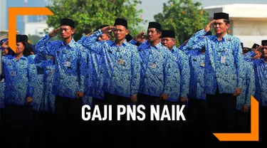 Fakta-Fakta Kenaikan Gaji PNS Per April 2019