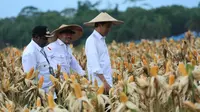 Presiden Joko Widodo (Jokowi) didampingi Menteri Pertanian Syahrul Yasin Limpo meninjau program lumbung pangan nasional atau Food Estate di Kabupaten Keerom, Provinsi Papua. (Foto: Istimewa)