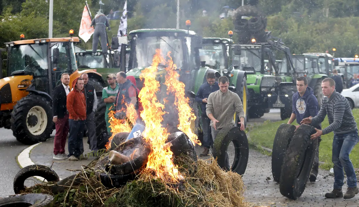 Sejumlah peternak sapi perah melakukan aksi protes dengan membakar ban saat melakukan aksi protes di Battice, Belgia, Kamis (30/7/2015). Aksi protes tersebut berkaitan dengan rendahnya harga jual susu. (REUTERS/Francois Lenoir)