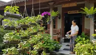 9 Alasan Tanaman Stroberi Tumbuh Subur tetapi Tidak Berbuah, Jangan Sampai Salah Perawatan