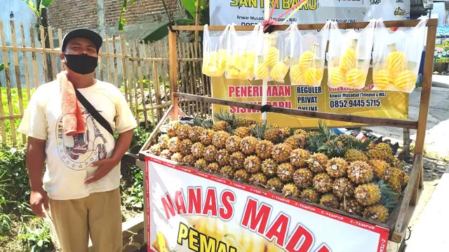 Berkah Tersembunyi di Balik Ekspansi Penjual Nanas Madu Pemalang Seharga Goceng