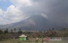 Aktivitas Gunung Lewotobi Laki-laki Masih Tinggi: Mengapa Level Awas Belum Turun?