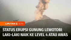 Pascaerupsi Gunung Lewotobi Laki-Laki di Kabupaten Flores Timur, NTT, operasi tanggap darurat terus dilakukan tim SAR gabungan. Berdasarkan data BNPB, 10 korban meninggal dunia dan jenazahnya telah dievakuasi.